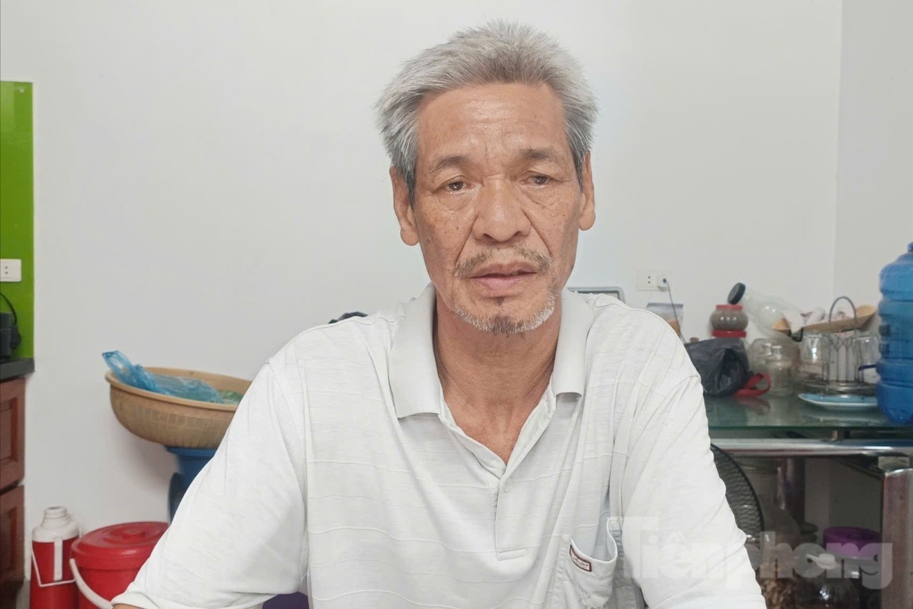 Lat tau Vinh xanh 58 anh 1
