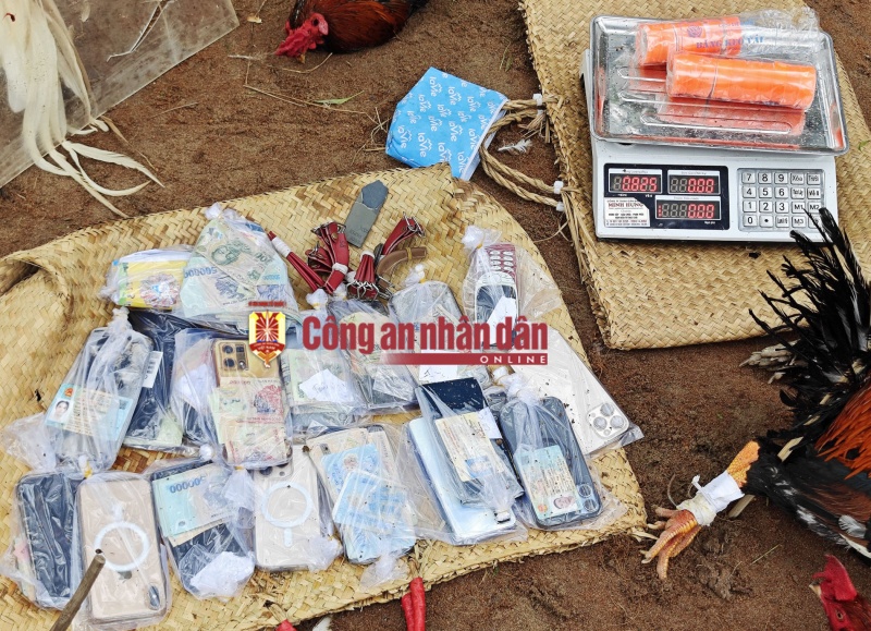 Chọi gà, Phòng CSHS, Công an Cần Thơ, Sát phạt, Long Phú ảnh 2 Choi ga, Phong CSHS, Cong an Can Tho, Sat phat, Long Phu anh 2