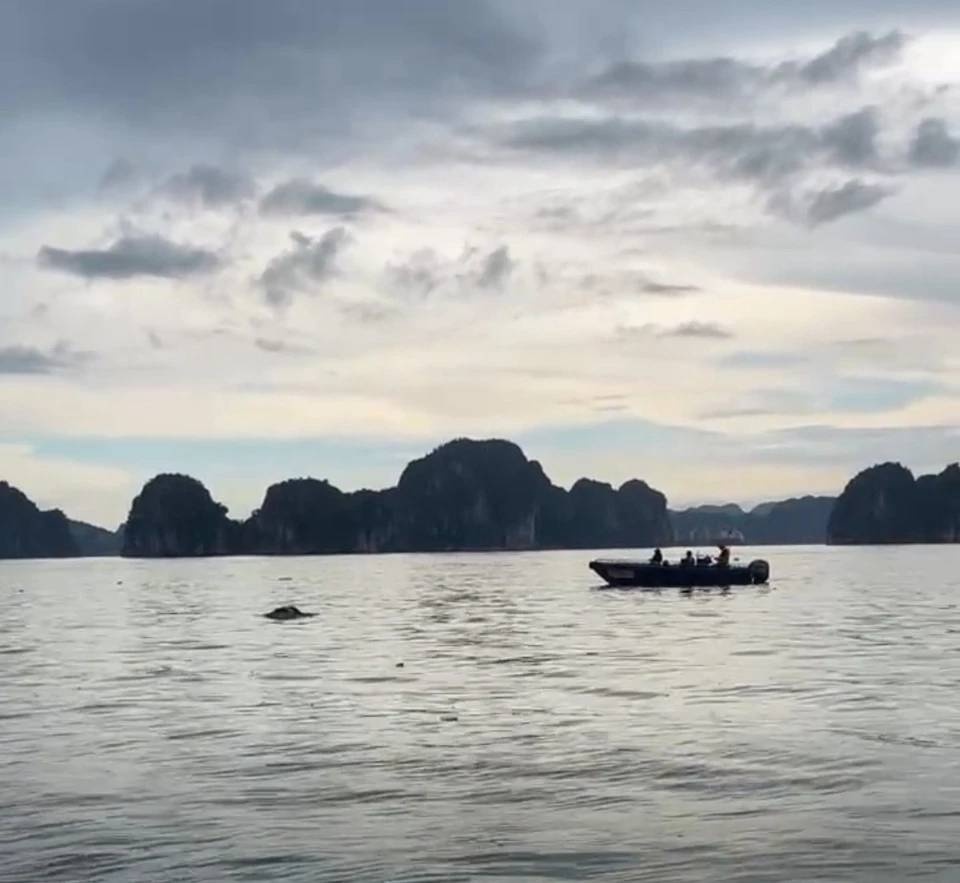 Hoan tat cong tac tim kiem 39 nan nhan trong vu lat tau du lich hinh anh