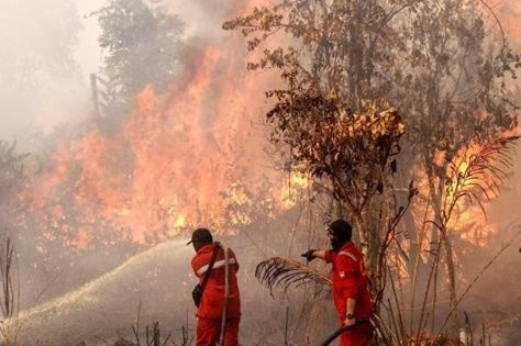 Indonesia kich hoat mua nhan tao nham dap tat chay rung hinh anh