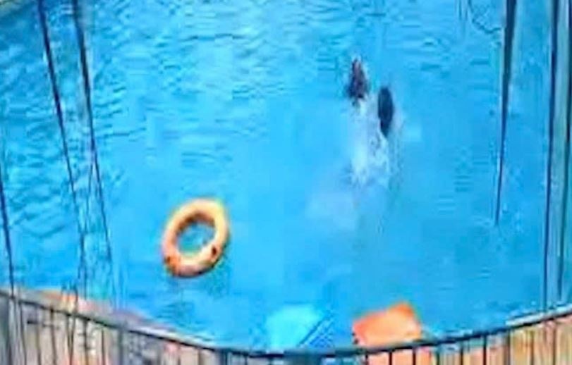 Be gai 7 tuoi duoi nuoc tu vong tai ho boi o Dong Nai hinh anh