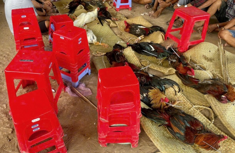 Cong an Binh Hiep,  Cong an Tay Ninh,  Tran Anh Minh,  Truong ga,  Con bac anh 4