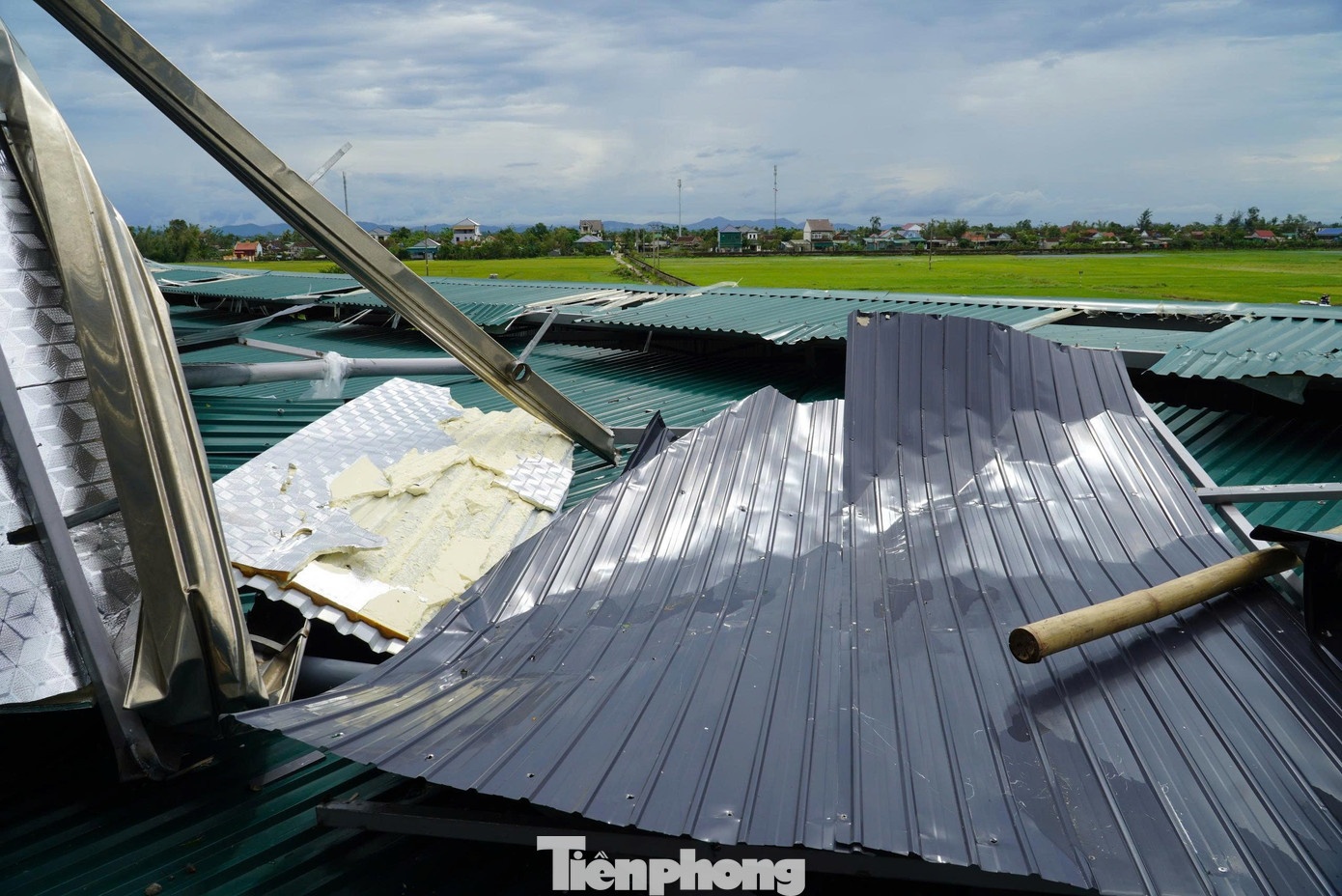 Bão Kajiki hỏng sân pickleball ảnh 13 Bao Kajiki hong san pickleball anh 13