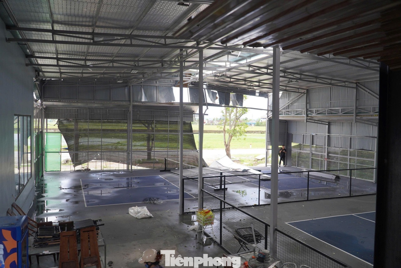 Bão Kajiki hỏng sân pickleball ảnh 14 Bao Kajiki hong san pickleball anh 14