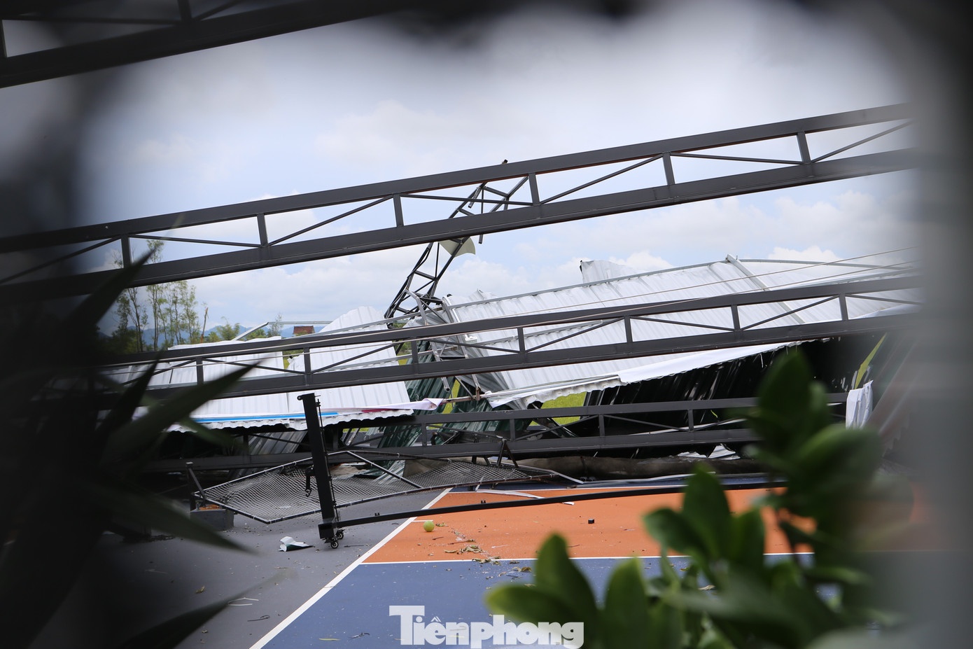 Bao Kajiki hong san pickleball anh 1