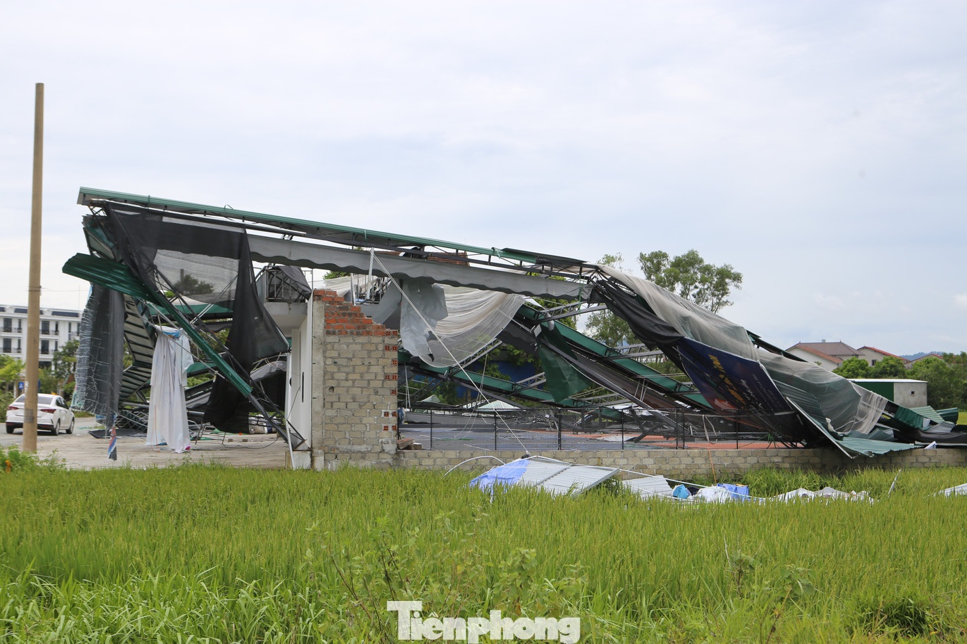 Bao Kajiki hong san pickleball anh 2