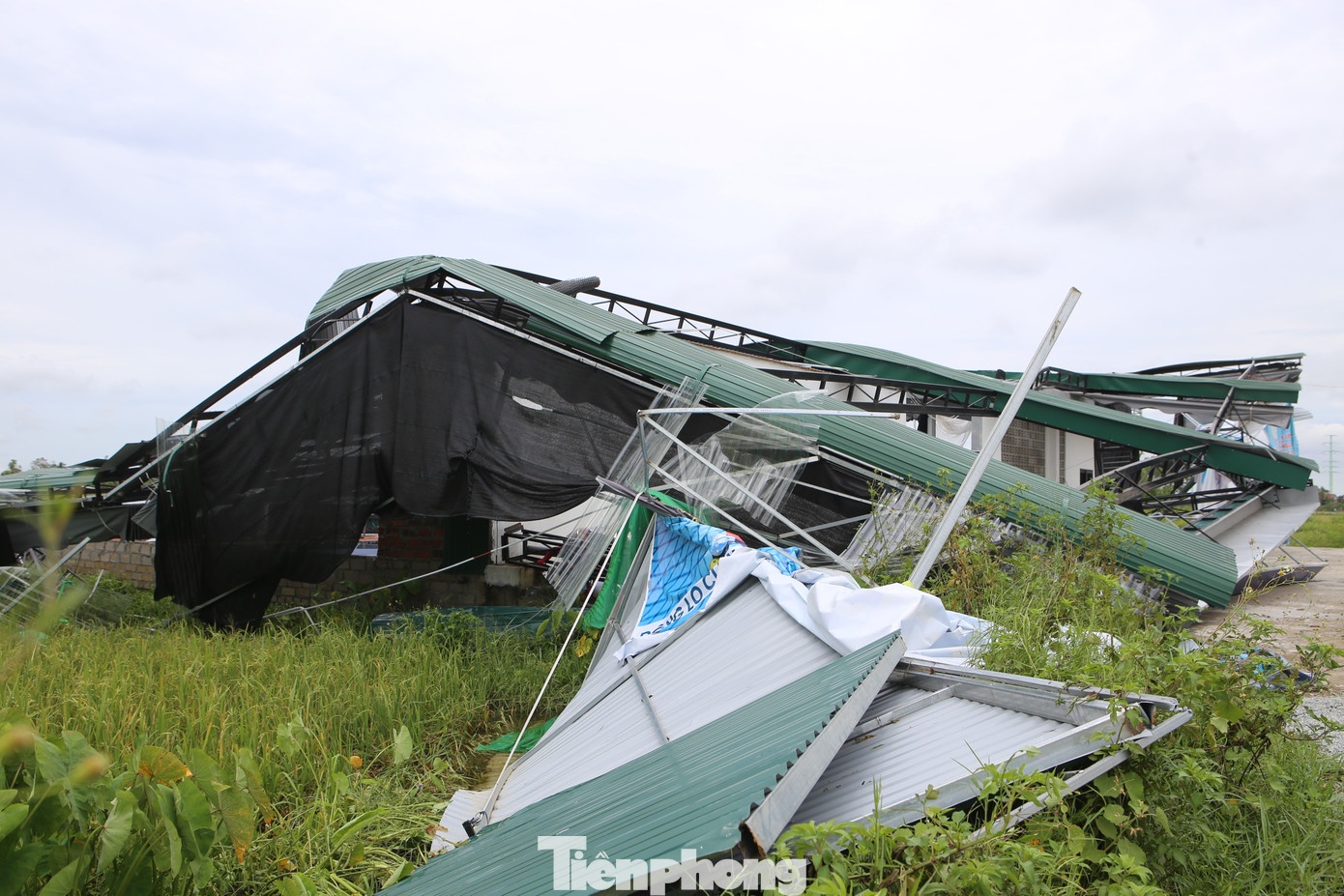Bão Kajiki hỏng sân pickleball ảnh 3 Bao Kajiki hong san pickleball anh 3