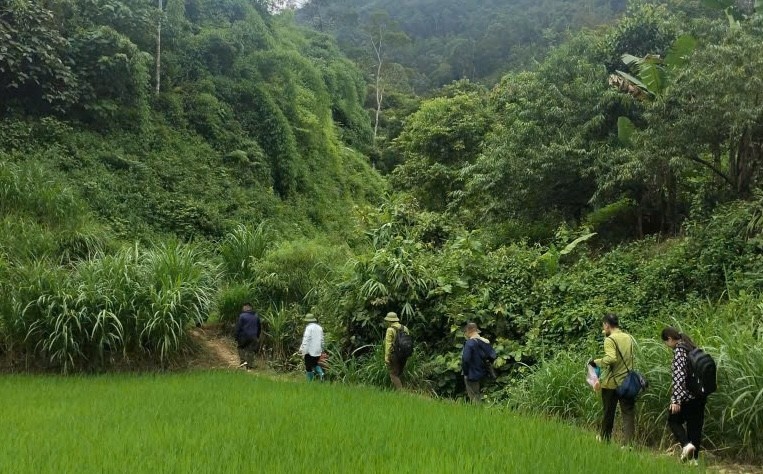 Truy soi rung Dien Bien anh 4