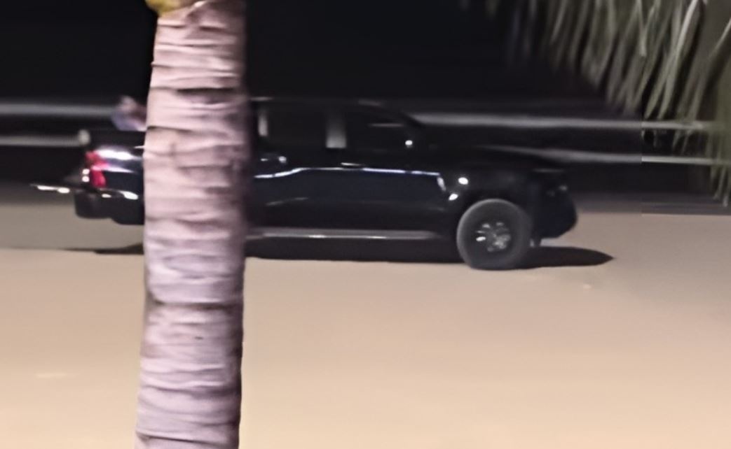 Oto 'vo tu' chay xuong bai bien Da Nang hinh anh