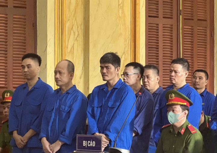 14 bi cao linh an vu buon lau 113 kg vang vao Viet Nam hinh anh