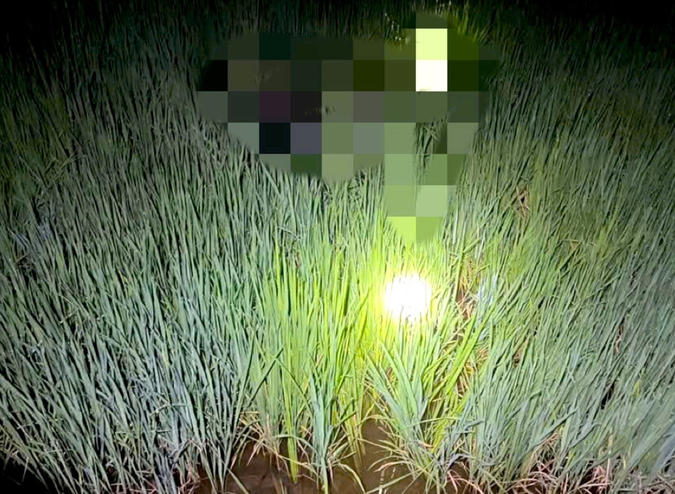 Khoi to nguoi dat bay chuot bang dien khien 2 nguoi tu vong hinh anh