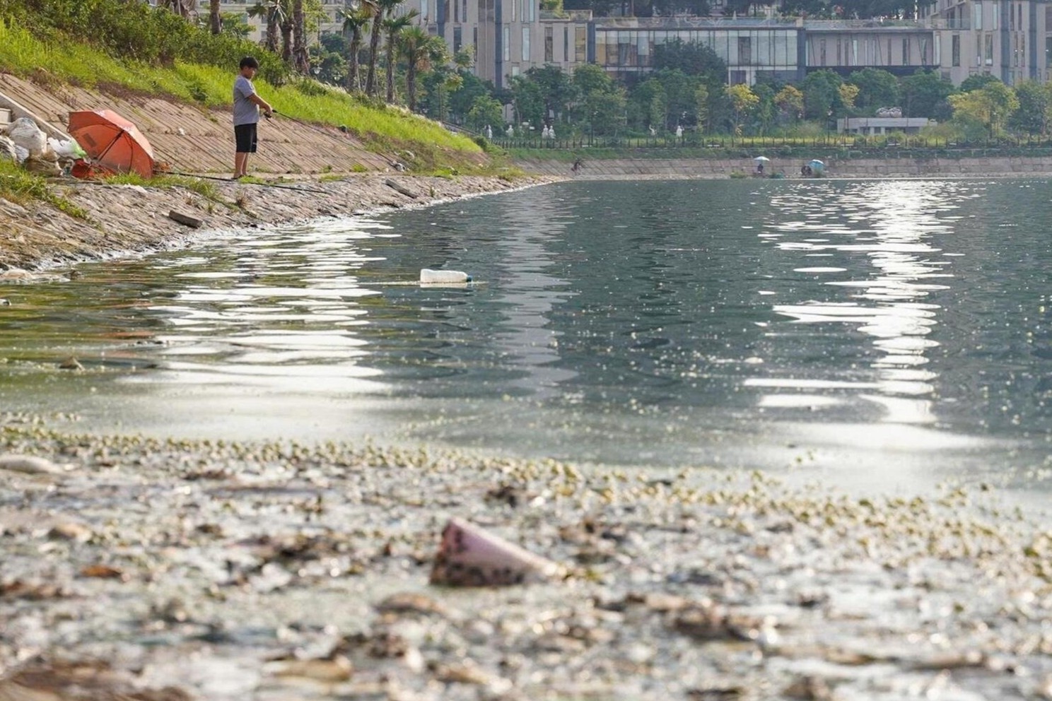 Co um tum, day ca chet, ngap rac trong cong vien 744 ty dong o Ha Noi hinh anh