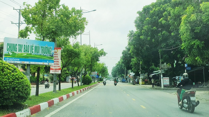 du an cay xanh anh 1