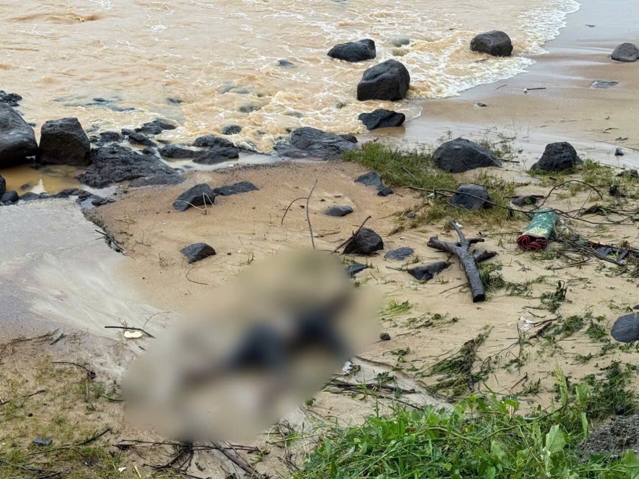 Thi the Cua Tung bao anh 1