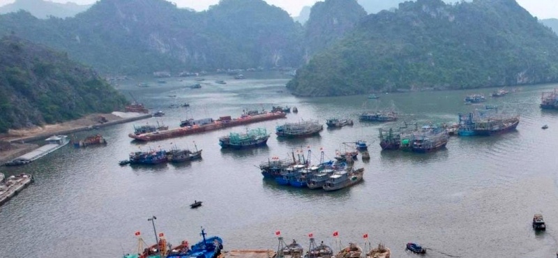 cang Tran Chau,  dac khu Cat Hai,  van tai Hai Phong,  Cong ty Hai Phong,  Doanh nghiep Hai Phong,  giam doc Hai Phong,  chu tich Hai Phong,  Ke toan Hai Phong,  Nhan vien Hai Phong anh 1