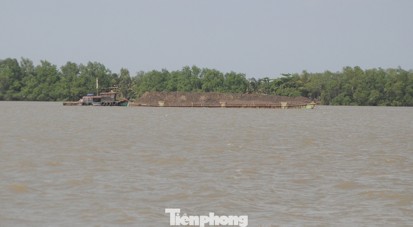 Chim sa lan,  tren song Tien anh 1