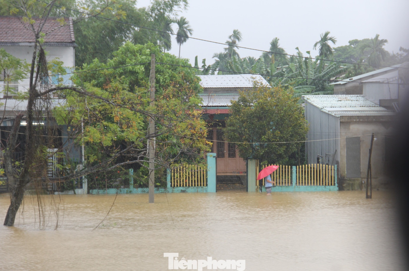 Lu lut Da Nang anh 23