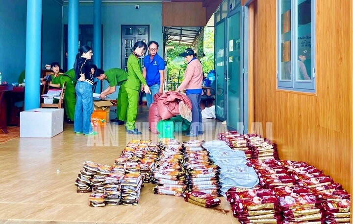 Nguyen Phat Gia Lai,  Doanh nghiep Nguyen Phat,  Giam doc Nguyen Phat,  Chu Nguyen Phat,  Ke toan Nguyen Phat,  Vo Minh Tung,  Ca phe gia,  Lam ca phe gia anh 2