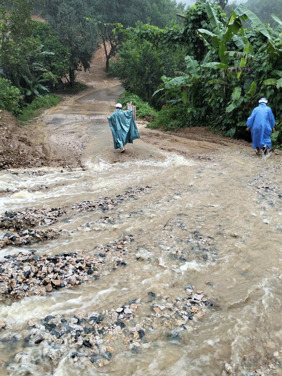 Mua lon, mien nui Da Nang xuat hien sat lo hinh anh