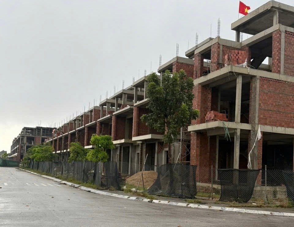 du an 500 ty,  Tap doan Son Hai,  Thanh tra sai pham anh 1