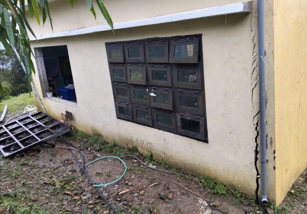 Diem truong,  mien nui Da Nang anh 4