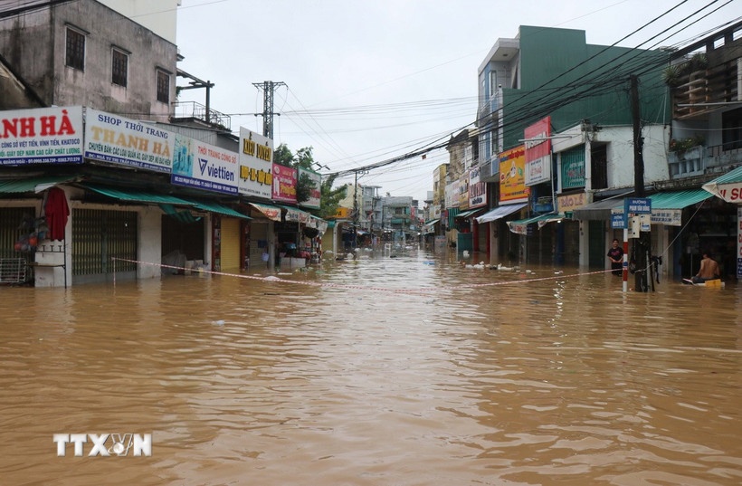 ung pho,  bao so 13 anh 1