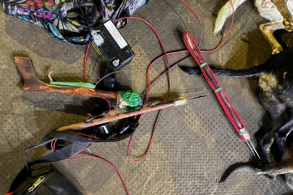 Lien tiep triet pha cac vu trom cho su dung ca sung dien tu che hinh anh