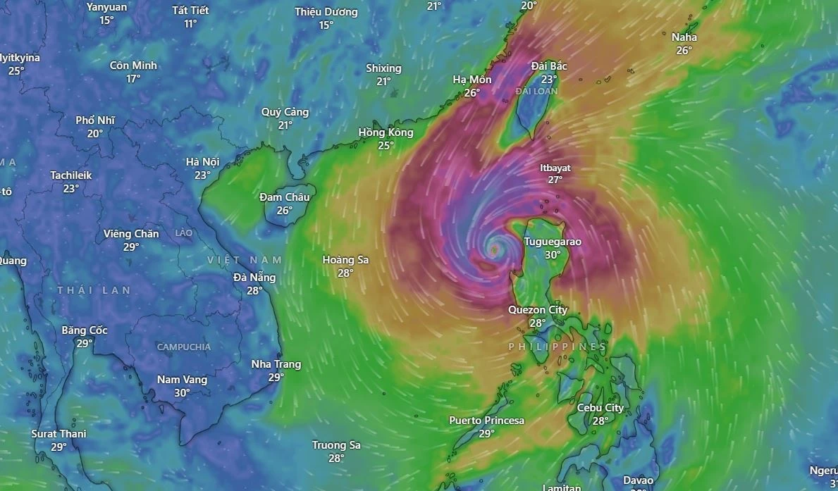 Bao Fung-Wong khong doi huong hinh anh