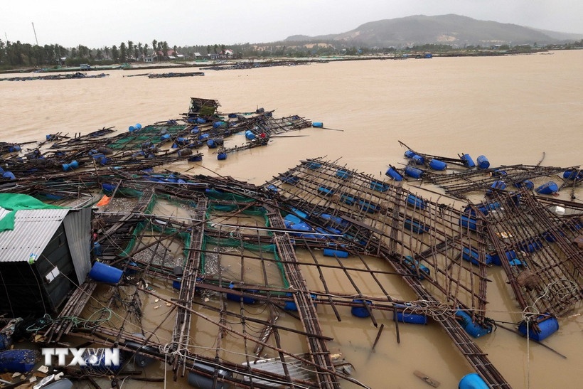 Lu 100 can axit sunfuric anh 1