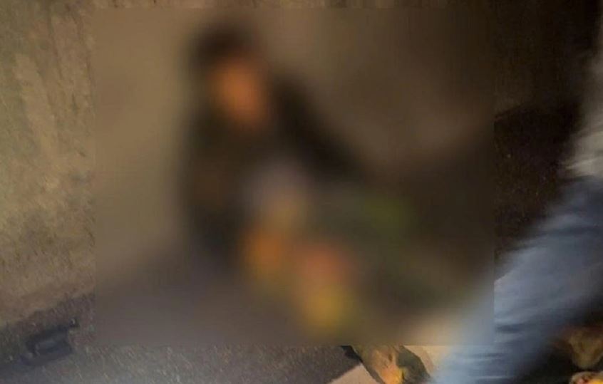 Di bo tren cao toc, nguoi dan ong tu vong sau va cham voi xe tai hinh anh