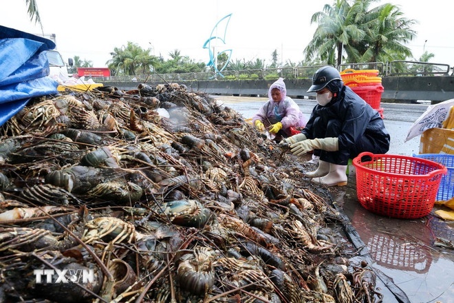 Ho tro khan cap,  1.100 ty anh 2