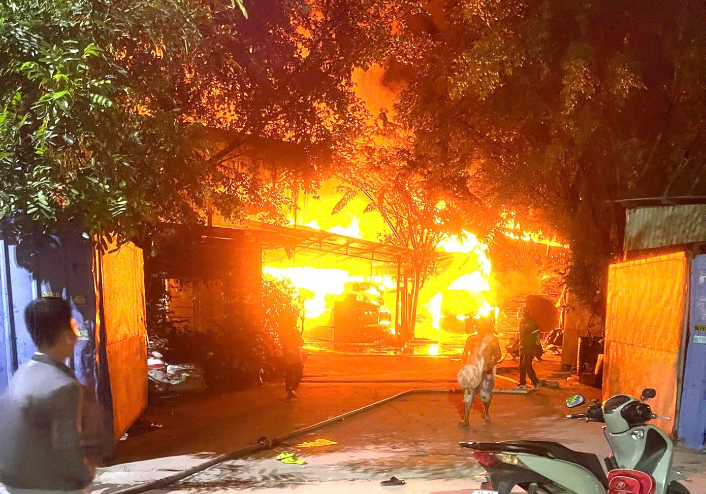 Lua du doi bao trum xuong go o TP.HCM hinh anh