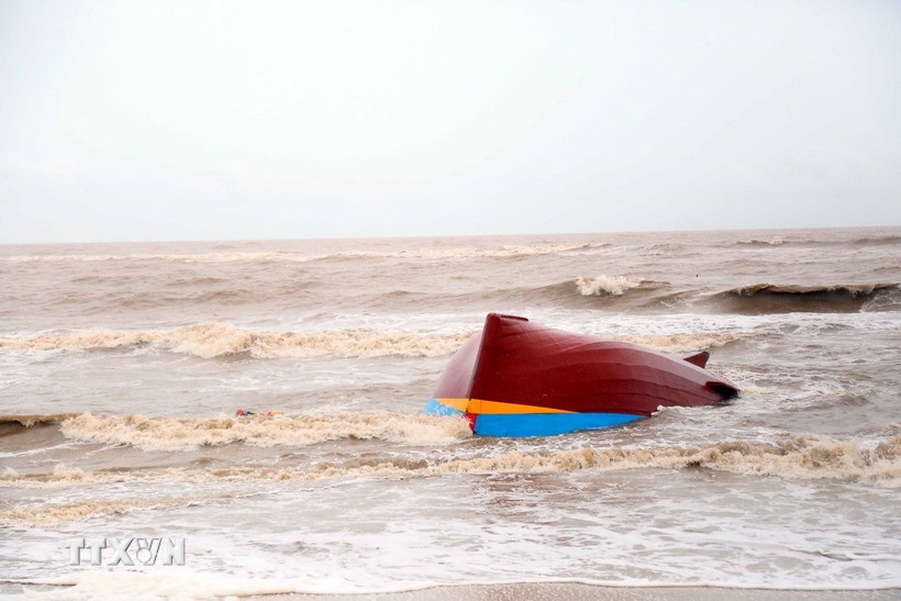 Chim tau ca,  tren bien anh 1