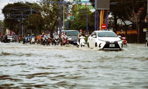 Lo ngai Can Tho roi vao 'trung tam tren danh nghia' hinh anh