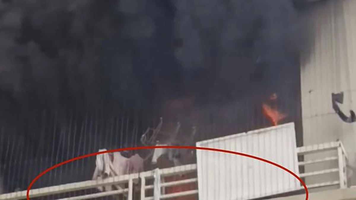 Chay ngun ngut tai can ho chung cu Dai Thanh hinh anh