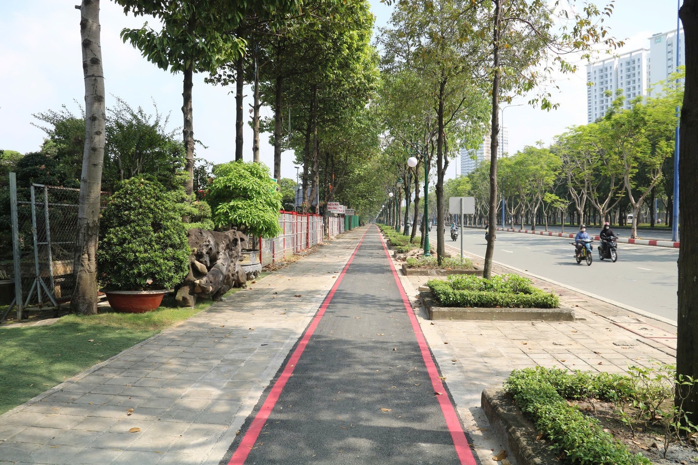 Duong xe dap TP.HCM anh 1