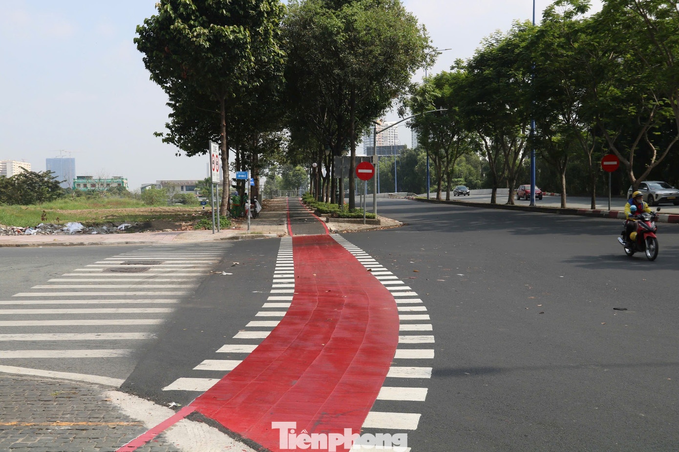 Duong xe dap TP.HCM anh 3