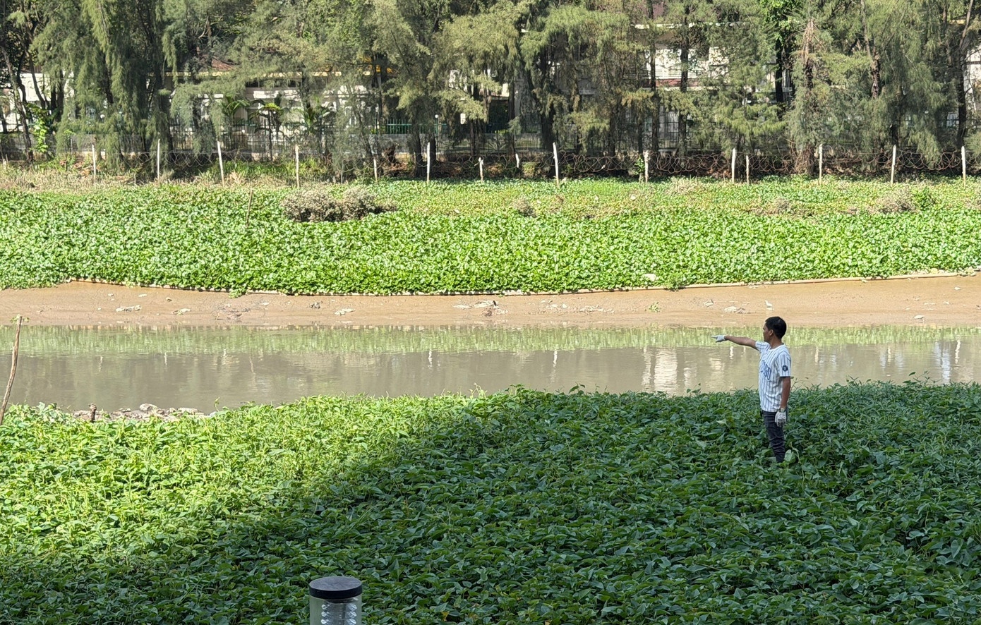 Thi the nam gioi noi tren rach gan chung cu Midtown o TP.HCM hinh anh