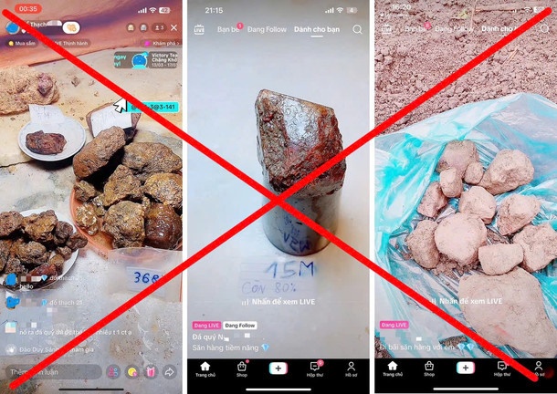 Dieu tra vu lua dao 'do thach' tim da quy tren mang hinh anh