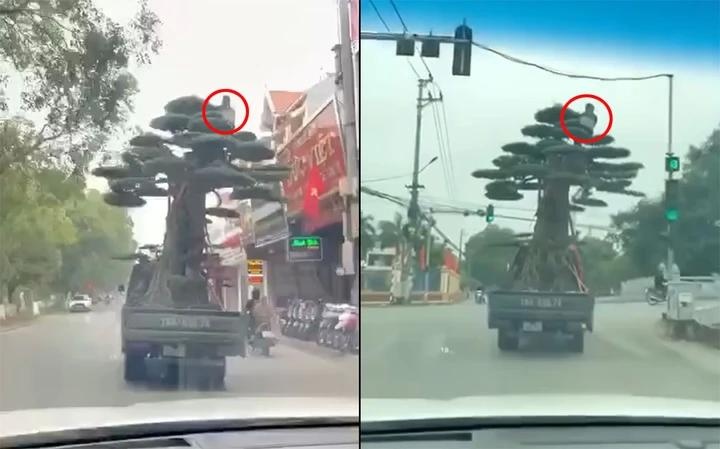 Tai xe xe tai,  cho cay canh anh 1