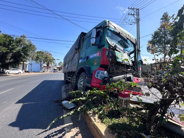 Xe tai tong 3 bo anh 1