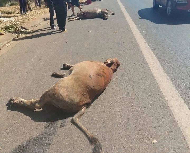 Xe tai tong 3 bo anh 2