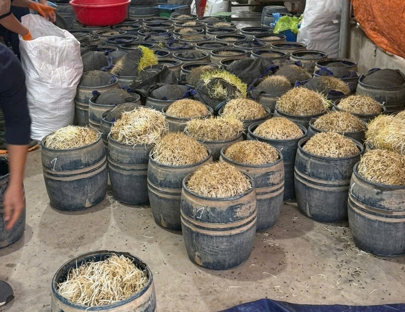 Khoi to vu thu giu gan 3 tan gia do su dung chat cam hinh anh