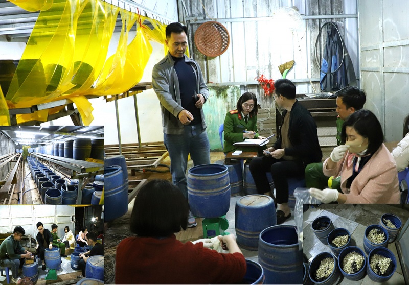 2, 8 tan gia do,  Bang chat cam,  Ho Thien An,  Chu Thien An,  Gia do Thien An anh 1