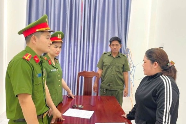 Bat giam doc cong ty xay dung mua 26 hoa don de tron thue hinh anh