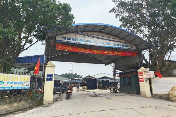 Lo mo gan 300 tan lon benh tai Ha Noi hinh anh