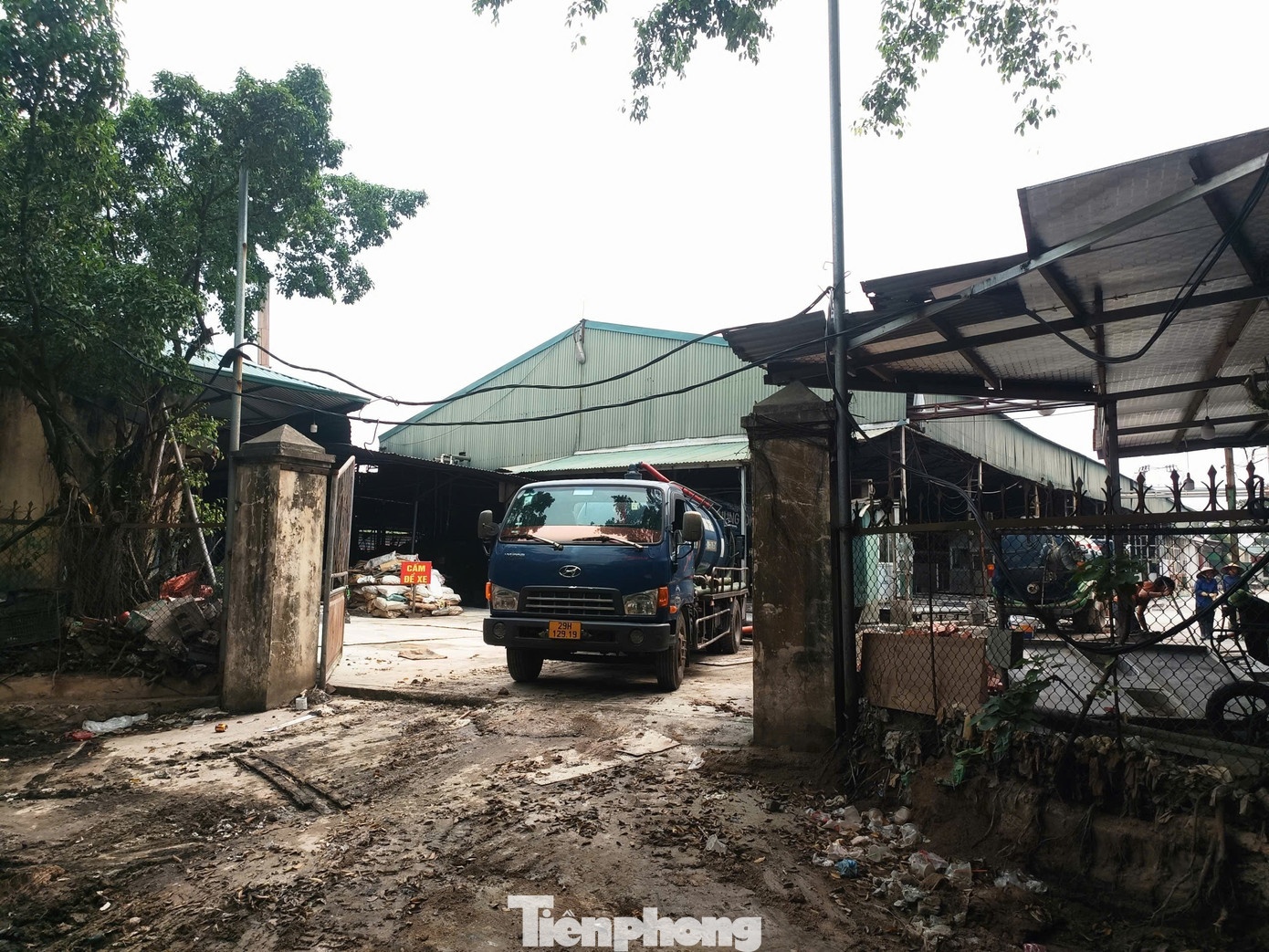 Co so Van Phuc,  Giet mo Van Phuc,  Nguyen Thi Hien,  Cong ty Cuong Phat,  Doanh nghiep Cuong Phat,  Giam doc Cuong Phat anh 2