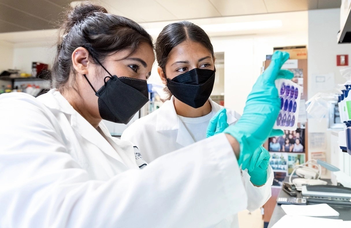 Thuoc khang virus moi co the ngan chan lay truyen virus SARS-CoV-2 hinh anh