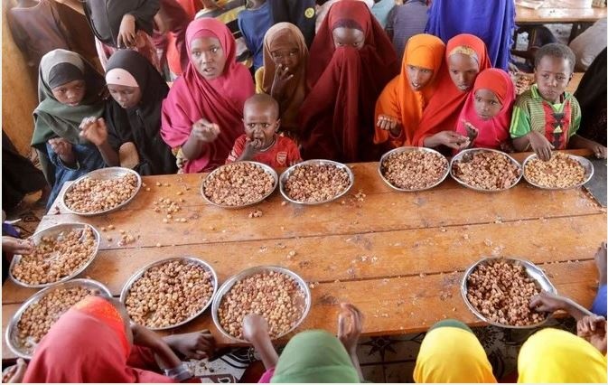 Bo hoc vi han han anh 2