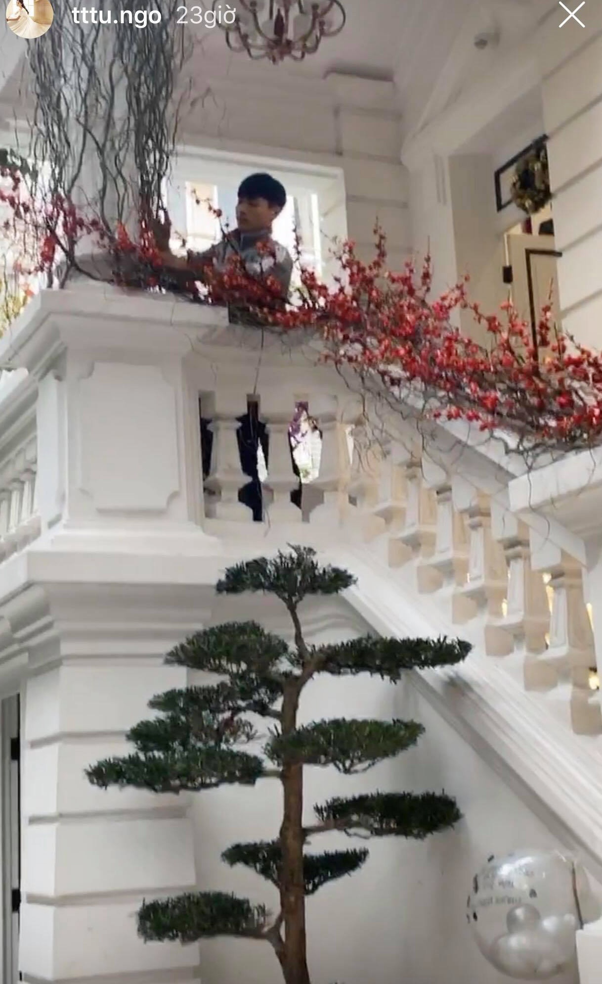 Á hậu Thanh Tú trang trí nhà ảnh 1 A hau Thanh Tu trang tri nha anh 1